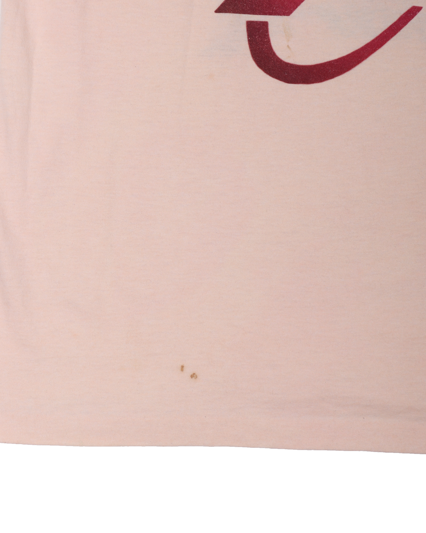 Bjork T-Shirt