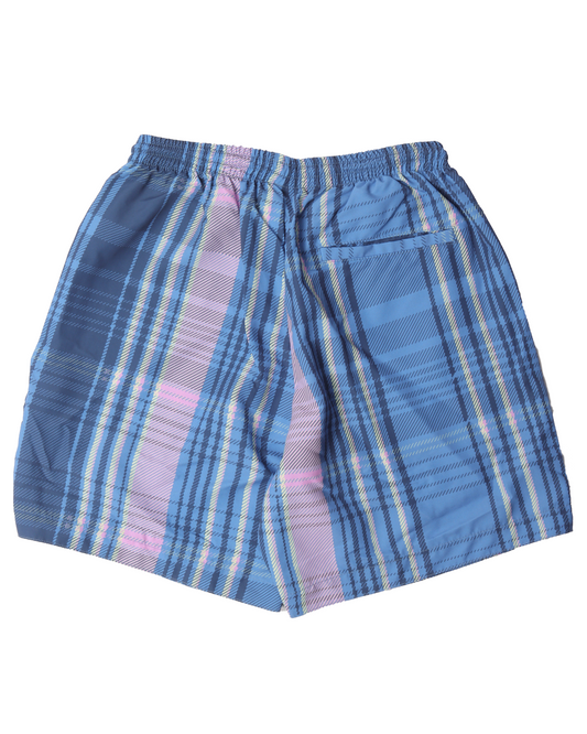Plaid Swim Shorts