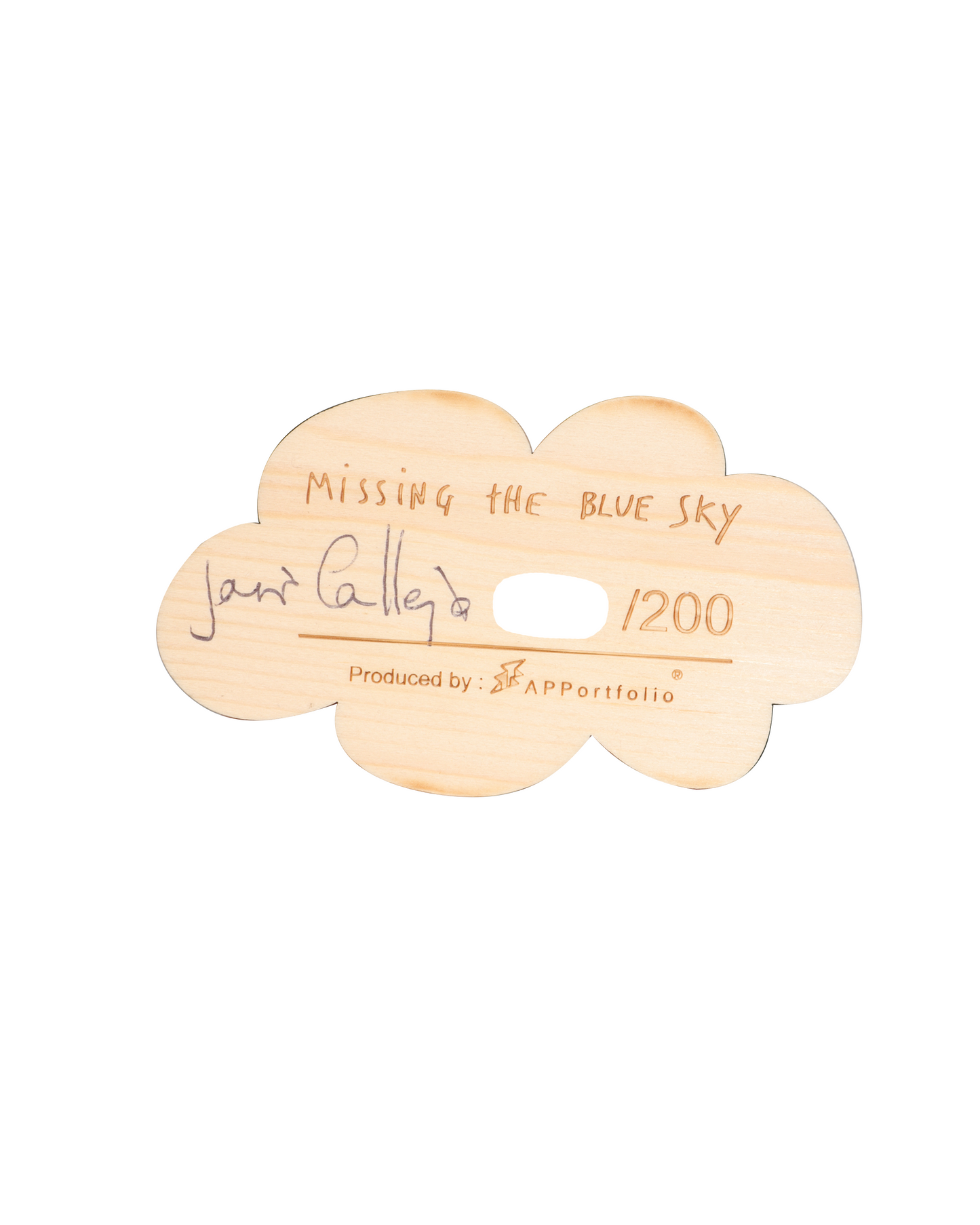 Missing The Blue Sky (2018)